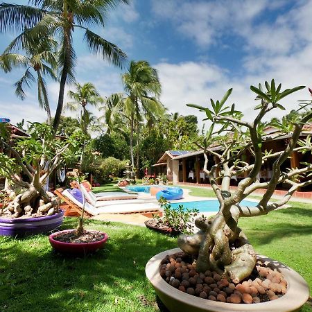 Pousada Oasis Praia de Pipa Exterior photo